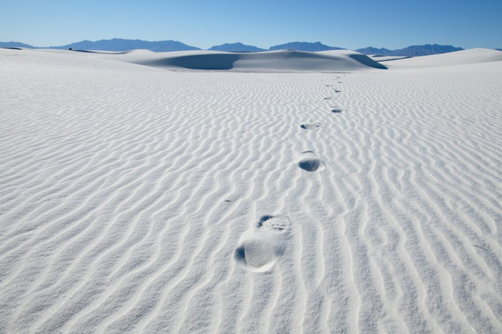 Footprints White Sands NP NM