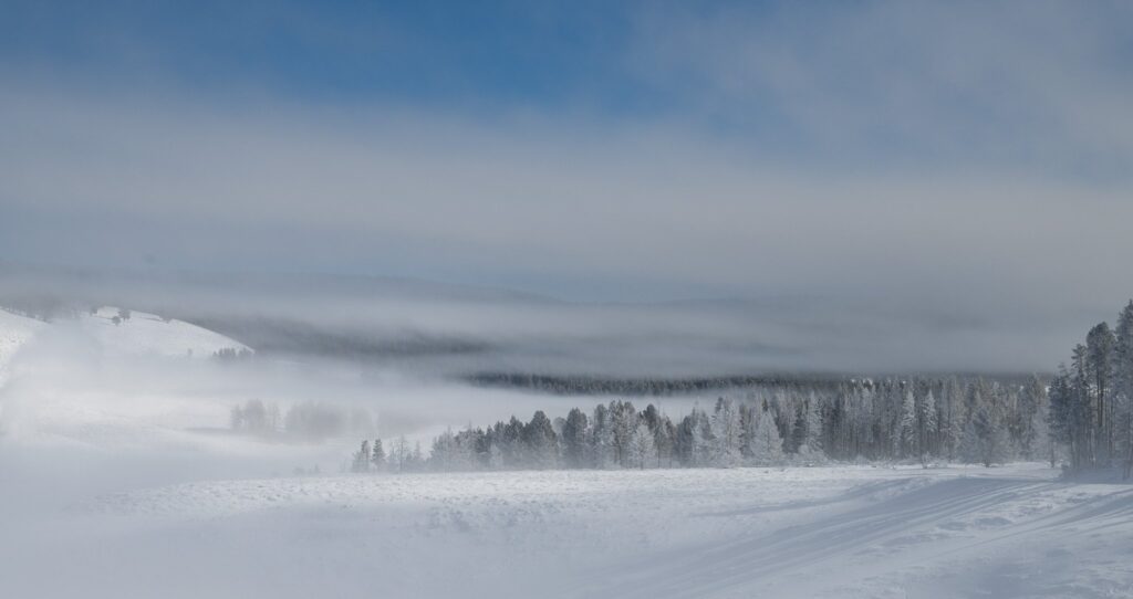 Snow scene Yellowstone WY